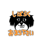 ワンちゃん百面相（個別スタンプ：24）