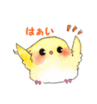 水彩鳥スタンプ（個別スタンプ：30）
