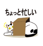 牛柄猫 挨拶（個別スタンプ：3）