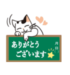 牛柄猫 挨拶（個別スタンプ：39）