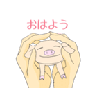 手乗り豚（個別スタンプ：1）