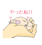 手乗り豚（個別スタンプ：9）