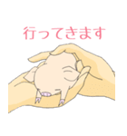 手乗り豚（個別スタンプ：10）