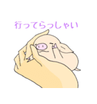 手乗り豚（個別スタンプ：11）