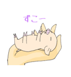 手乗り豚（個別スタンプ：13）