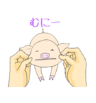 手乗り豚（個別スタンプ：15）