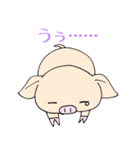 手乗り豚（個別スタンプ：19）