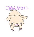 手乗り豚（個別スタンプ：20）