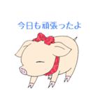手乗り豚（個別スタンプ：26）