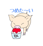 手乗り豚（個別スタンプ：30）