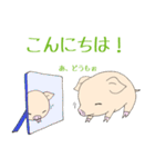 手乗り豚（個別スタンプ：32）