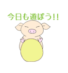 手乗り豚（個別スタンプ：34）
