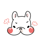 French Bulldog-White Bubble（個別スタンプ：12）
