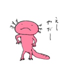 隣のウーパールーパー（個別スタンプ：31）
