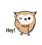 Little owl Soft-Owl（個別スタンプ：1）