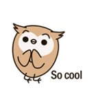 Little owl Soft-Owl（個別スタンプ：9）