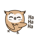 Little owl Soft-Owl（個別スタンプ：12）