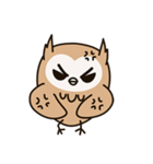 Little owl Soft-Owl（個別スタンプ：13）