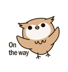 Little owl Soft-Owl（個別スタンプ：14）