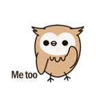 Little owl Soft-Owl（個別スタンプ：15）