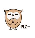 Little owl Soft-Owl（個別スタンプ：17）