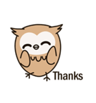 Little owl Soft-Owl（個別スタンプ：19）