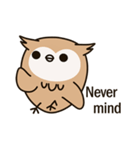 Little owl Soft-Owl（個別スタンプ：20）