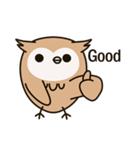Little owl Soft-Owl（個別スタンプ：30）