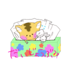 こねこのみー太となかまたち（個別スタンプ：5）
