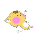 こねこのみー太となかまたち（個別スタンプ：11）