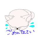 こねこのみー太となかまたち（個別スタンプ：16）