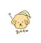 プードルのムギ（個別スタンプ：4）