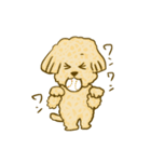 プードルのムギ（個別スタンプ：6）