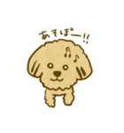 プードルのムギ（個別スタンプ：7）
