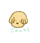 プードルのムギ（個別スタンプ：10）