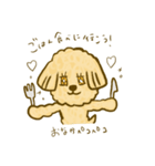 プードルのムギ（個別スタンプ：11）