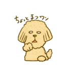 プードルのムギ（個別スタンプ：12）