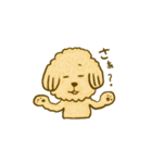 プードルのムギ（個別スタンプ：16）