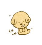 プードルのムギ（個別スタンプ：21）