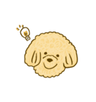 プードルのムギ（個別スタンプ：25）