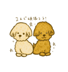 プードルのムギ（個別スタンプ：31）