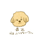 プードルのムギ（個別スタンプ：33）