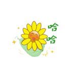 Sun family（個別スタンプ：40）