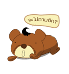 Holly kuma: The Bear（個別スタンプ：16）