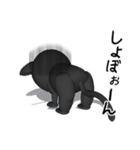 3D黒猫（個別スタンプ：13）