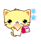 Beiya Cat（個別スタンプ：1）