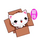 Beiya Cat（個別スタンプ：4）