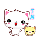 Beiya Cat（個別スタンプ：13）