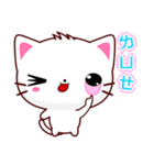 Beiya Cat（個別スタンプ：22）