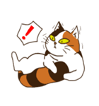 Mi-ke, the Calico Cat（個別スタンプ：1）